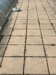 Pflastersteine/ Poolumrandung