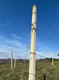 Weingartensäule Beton 500 Stk.
