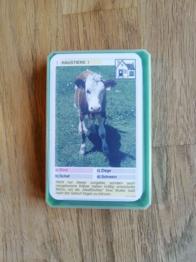 Tier Quartett - Piatnik