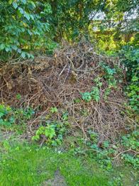 Baum- und Strauchschnitt, Häckselgut zu verschenken