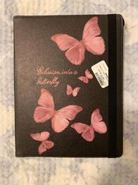 (reserviert) Case IPad 13