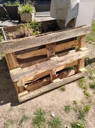 Euro Palette 1 Stk - Sofortabholung