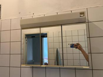 Alibert zu verschenken