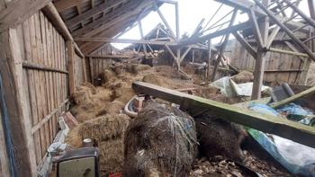 Altes Heu und Stroh (ideal für Garten/ Mulchen)