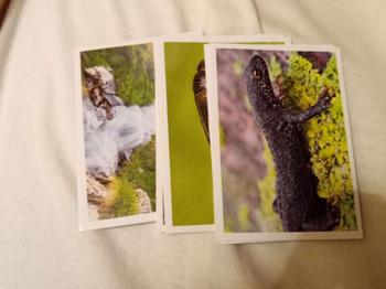 7 Billa Sammelsticker magische Wasser-Welt