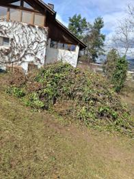 Grünschnitt Baumschnitt Osterfeuer