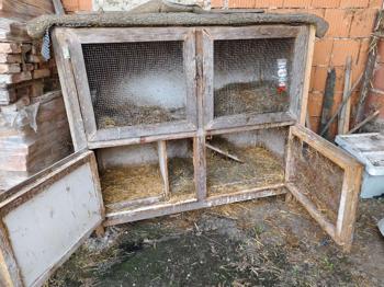 Hasenstall Meerschweinchen stall