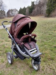 Kinderwagen Teutonia
