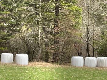 Heulageballen zu verschenken