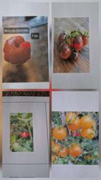 (reserviert) TOMATENSAMEN
