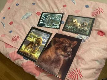 Bilder vom Weihnachtsmarkt