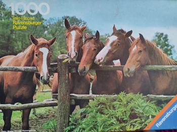 Ravensburger Puzzle Pferde 1000 Teile (1 Teil fehlt)