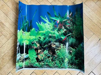 Bild Aquarium - Rückwand - Fototapete - Dekorationsartikel - Topzustand