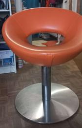 Stylischer Drehsessel zu verschenken