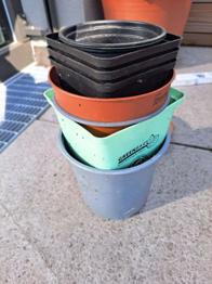 Anzucht Töpfe zu verschenken