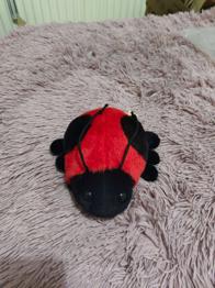 Stofftier Marienkäfer