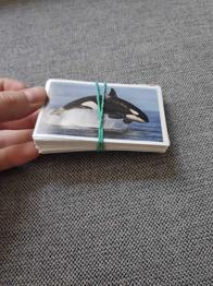 Stickermania - Das Geheimnis des leuchtenden Amuletts