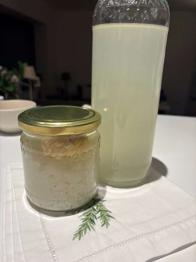 Wasserkefirkristalle