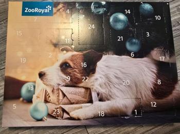 Hunde Adventskalender neu
