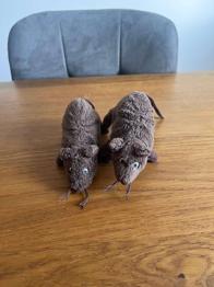 2 Plüsch Mäuse