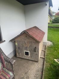 Katzenhaus Hundehütte